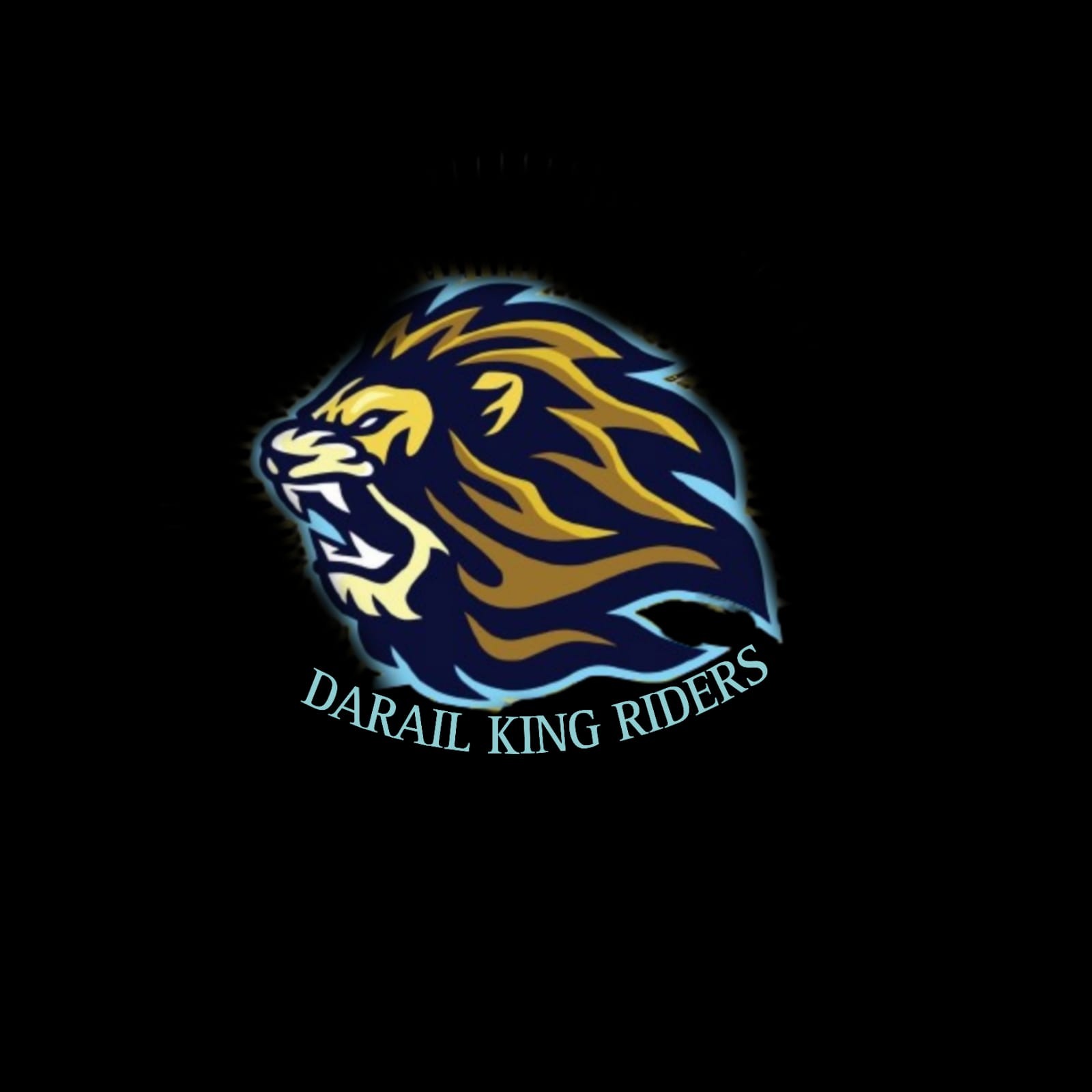 DARAIL KINGS RIDERS