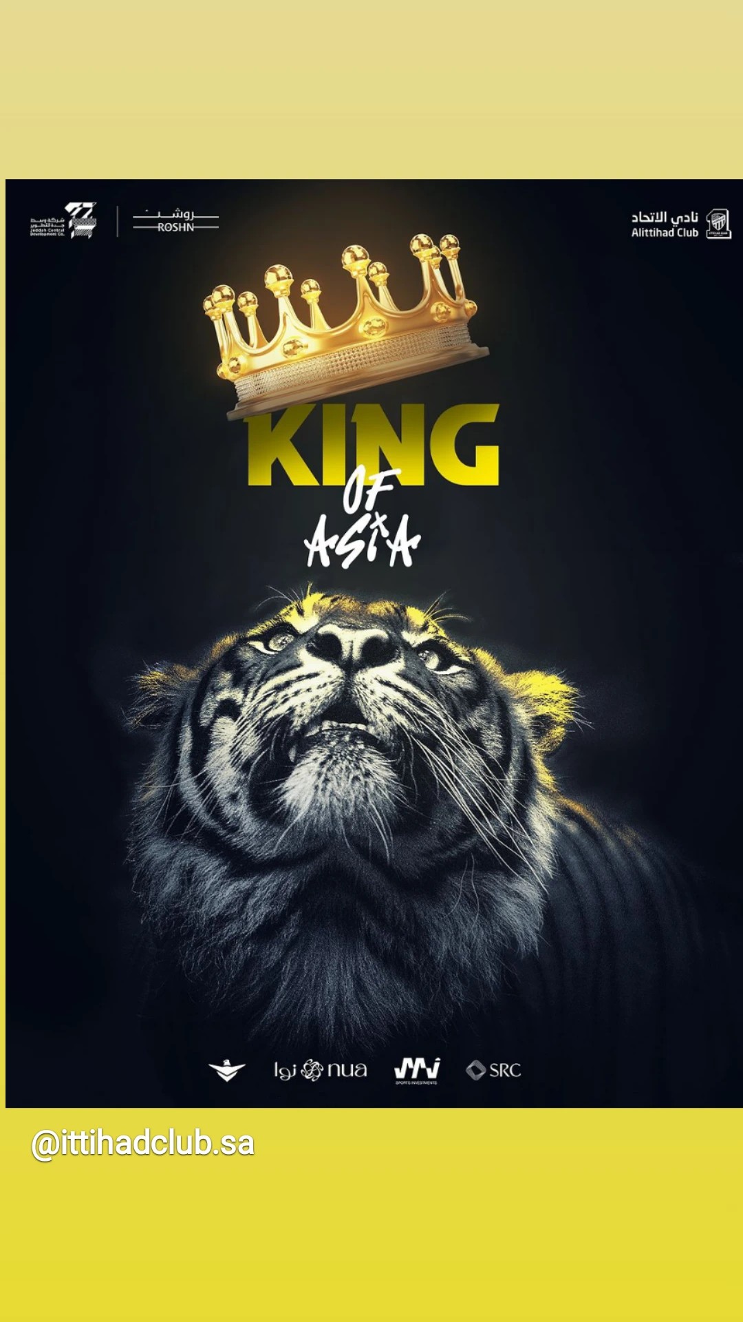 King 11