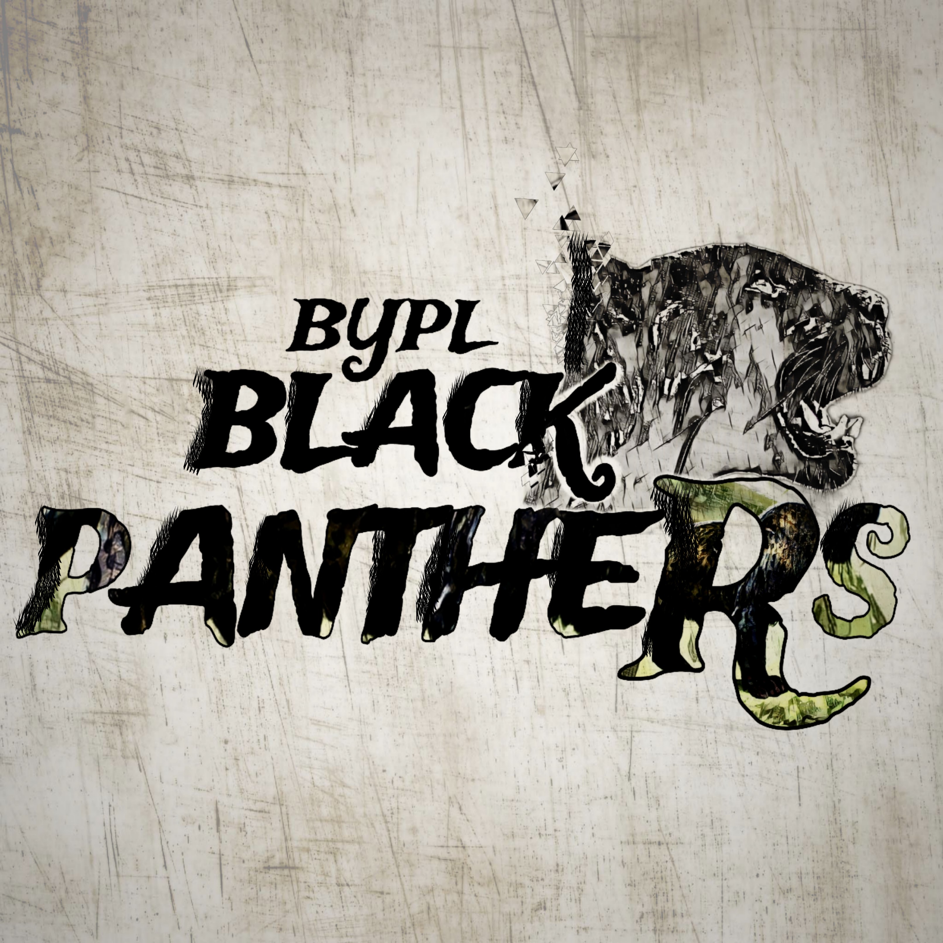 BYPL Black Panthers