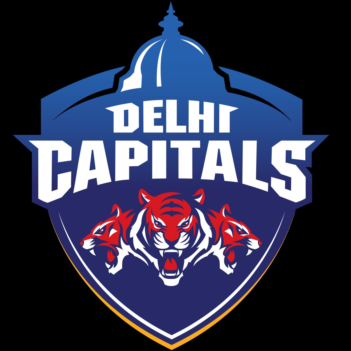 Dehli Capitals