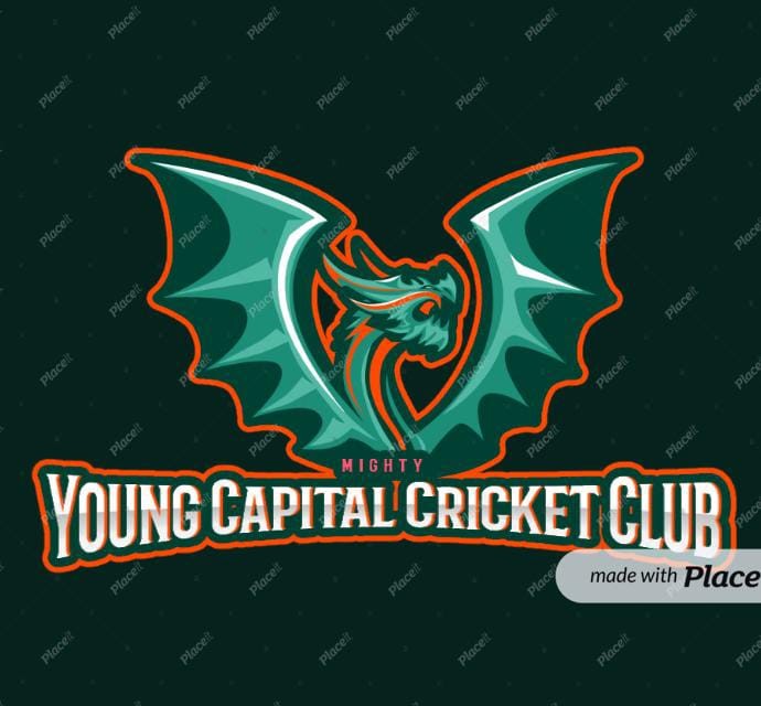 Young Capital XI