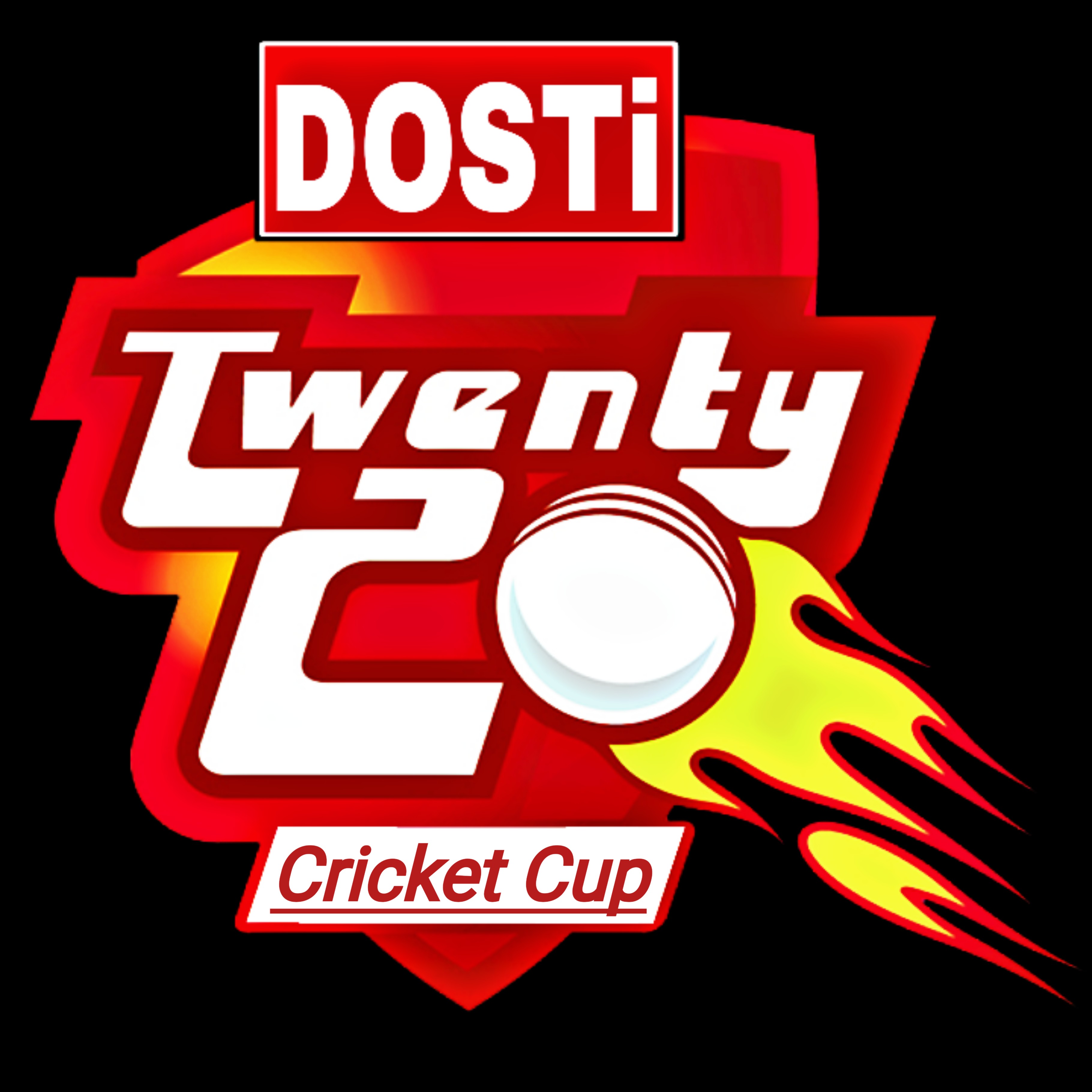 DOSTI T20 CRICKET CUP