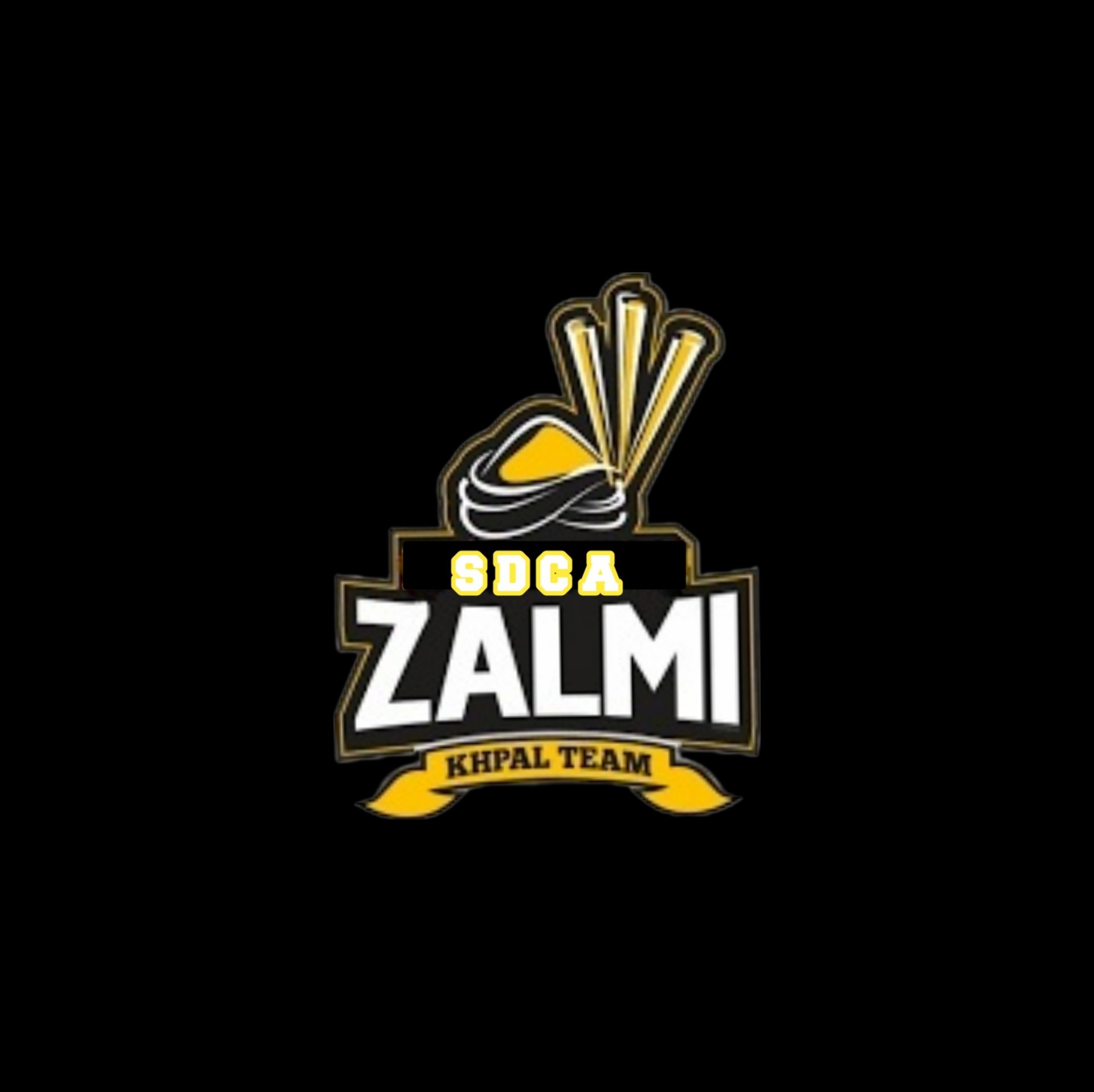 ZALMI SDCA