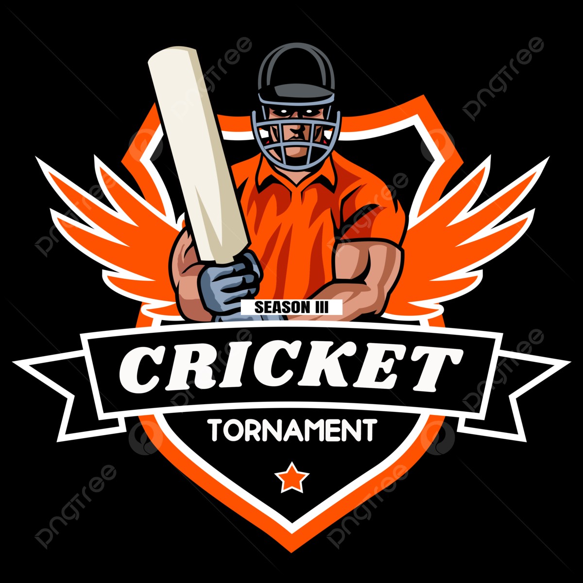 Cricket Tournament