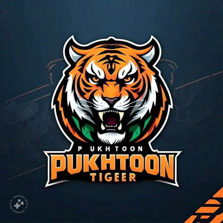 Pukhtoon Tiger