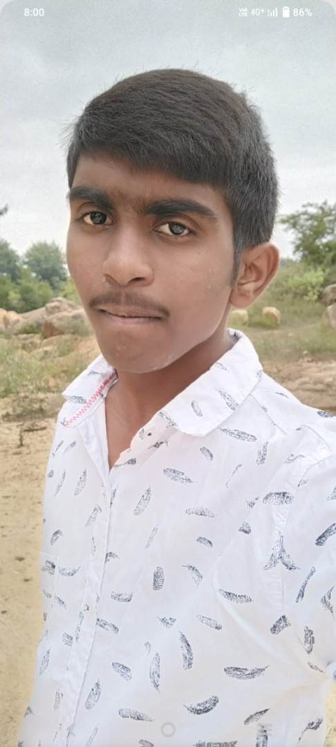 P REDDYSEKHAR NAIDU