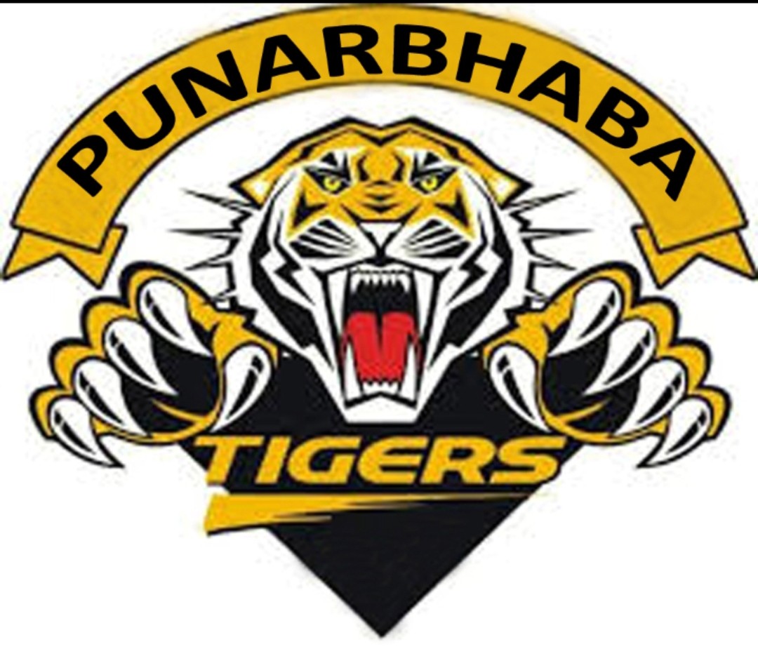 Punarbhaba Tiger s