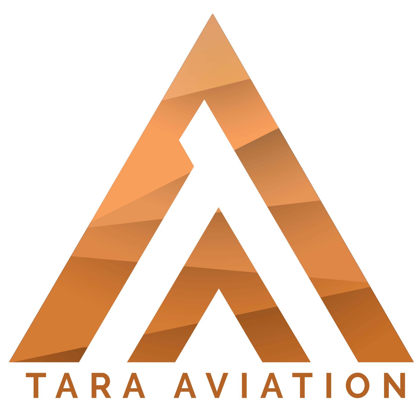 Tara Aviation Device mark 4463917 Trademark