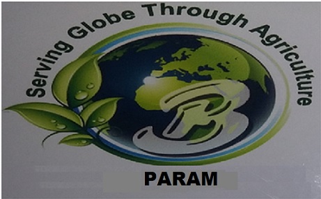 Param With B Logo Device mark 4474919 Trademark