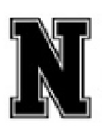 N ( Logo) Device mark 4475146 Trademark