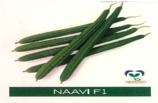 Naavi F1 Device mark 4475547 Trademark