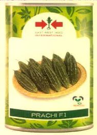 Prachi F1 Device mark 4475549 Trademark