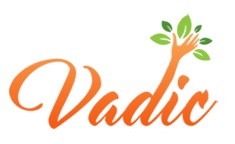 Vadic Device mark 4480639 Trademark