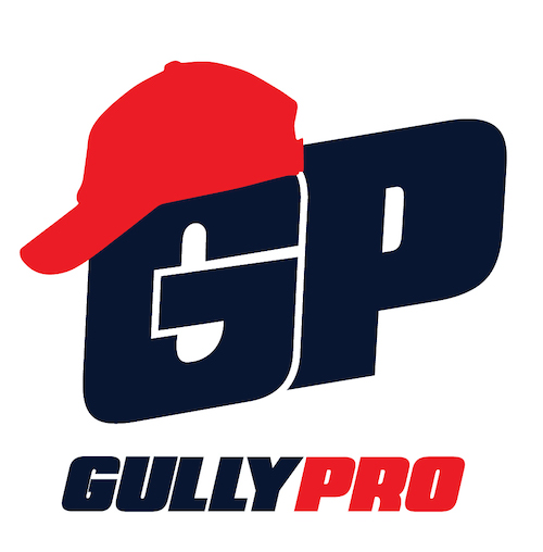Gullypro (device) Device mark 4477382 Trademark