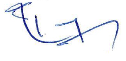 An Abstract Sign Device mark 4486023 Trademark