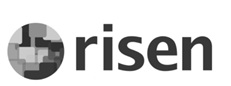 Risen And Device Device mark 4486340 Trademark