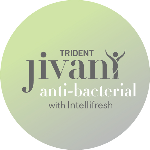 Trident Jivani Device mark 4487737 Trademark