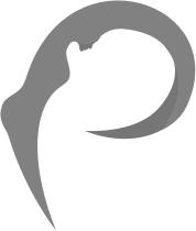Device Of P Device mark 4495156 Trademark