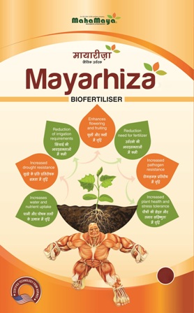 Mayarhiza Device mark 4512486 Trademark