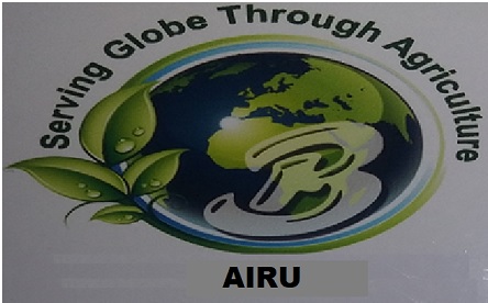 Airu Device mark 4513703 Trademark