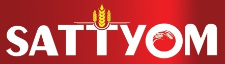 Sattyom Device mark 4505730 Trademark