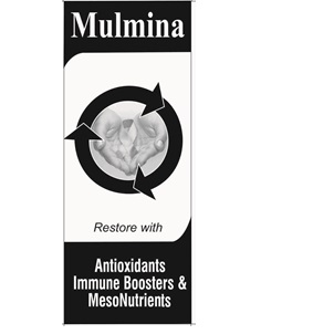 Mulmina (device) Device mark 4518853 Trademark