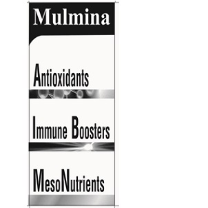 Mulmina (device) Device mark 4519000 Trademark