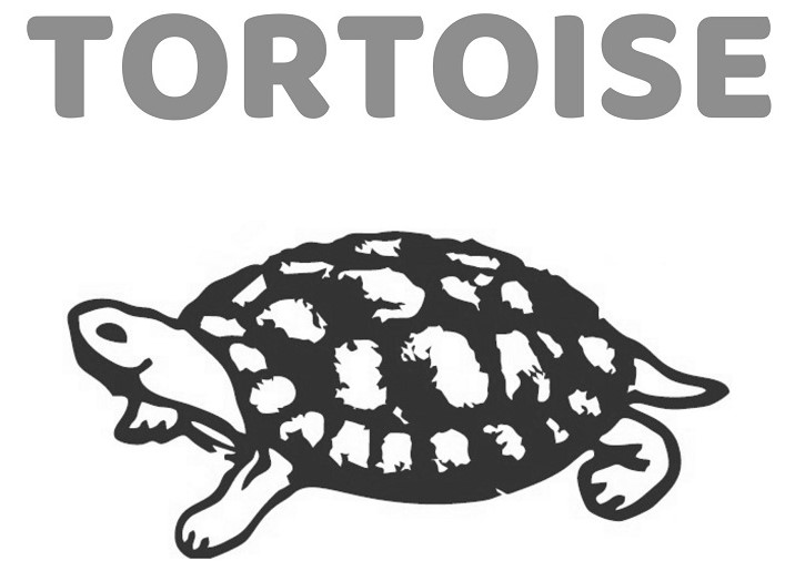 Tortoise Device mark 4527602 Trademark
