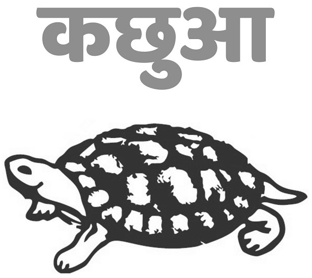 Kachhua Device mark 4527618 Trademark
