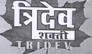 Tridev Shakti Device mark 4537786 Trademark