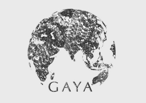 Gaya (device) Device mark 4541897 Trademark