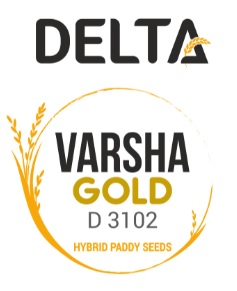 Delta Varsha Gold D 3102 (device) Device mark 4542571 Trademark