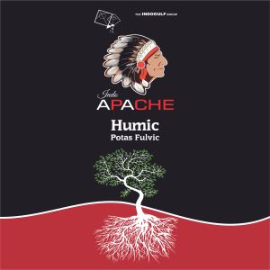 Indo Apache Device mark 4538762 Trademark