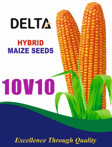 Delta 10 V 10 (device) Device mark 4549870 Trademark