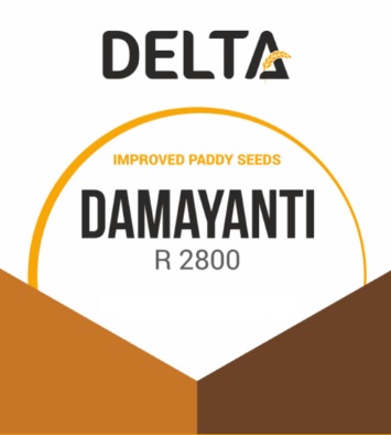 Delta Damayanthi R 2800 (device) Device mark 4549872 Trademark