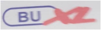 Buxl Logo Device mark 4553532 Trademark