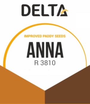 Delta Anna R 3810 (device) Device mark 4554141 Trademark