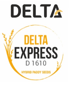 Delta Express D 1610 (device) Device mark 4555158 Trademark