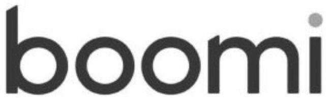 Boomi Device mark 4556201 Trademark