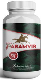 Aries Paramvir Device mark 4561119 Trademark