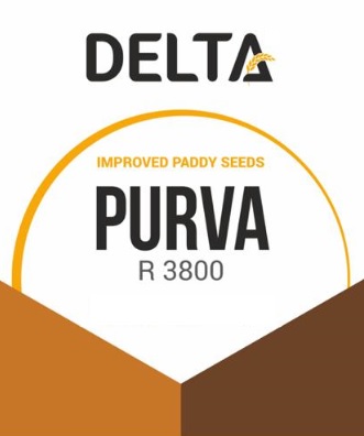 Delta Purva R3800 (device) Device mark 4565421 Trademark