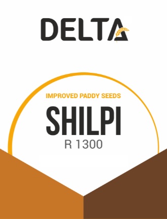 Delta Shilpi R1300 (device) Device mark 4565426 Trademark