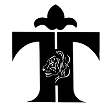 Device Of T Device mark 4561488 Trademark
