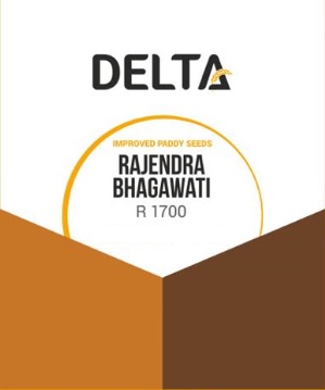 Delta Rajendra Bhagawati R 1700 (device) Device mark 4557756 Trademark