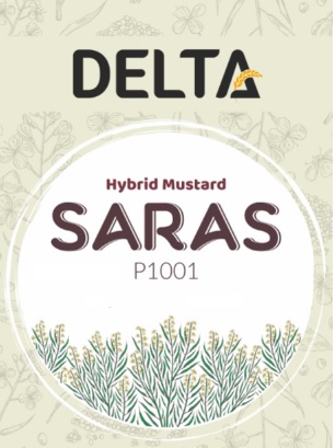 Delta Saras P 1001 (device) Device mark 4557757 Trademark