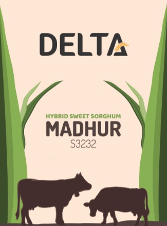 Delta Madhur S 3232 (device) Device mark 4557759 Trademark