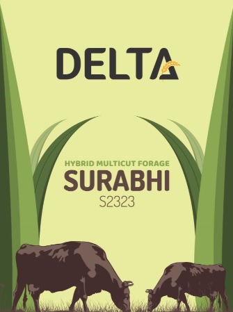 Delta Surabhi S 2323(device) Device mark 4557760 Trademark