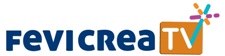 Fevicreatv Label Device mark 4567865 Trademark