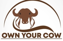 Own Your Cow Device mark 4569749 Trademark
