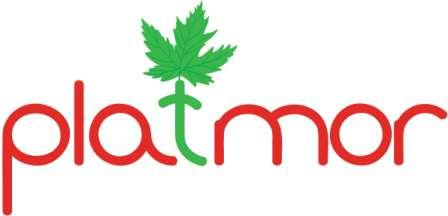 Platmor Device mark 4583865 Trademark
